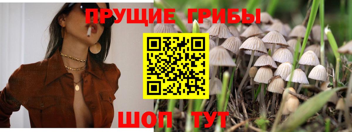 Златоуст  наркошоп  Вход с VPN  Псилоцибиновые грибы Magic Shrooms 